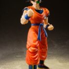 Dragon Ball Z SH Figuarts Jiece Web Exclusive